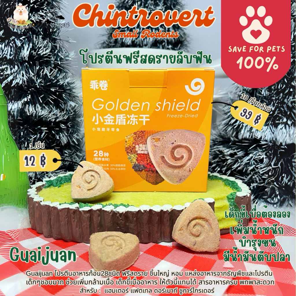 Chintrovert ✨| Guaijuan อาหารโล่ทองโปรตีนฟรีสดรายลับฟัน เด็กเบื่ออาหารชอบมาก | แฮมเตอร์ แฟตเทล ดอร์เมาท์ ชูการ์