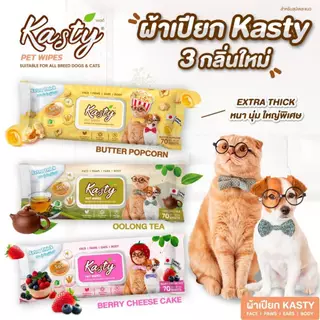 Kasty Pet Wipes ผ้าเปียกเช็ดทำความสะอาด สำหรับสุนัขและแมว ขนาดแผ่น 24 x 22 ซม. (70 แผ่น/ แพ็ค)