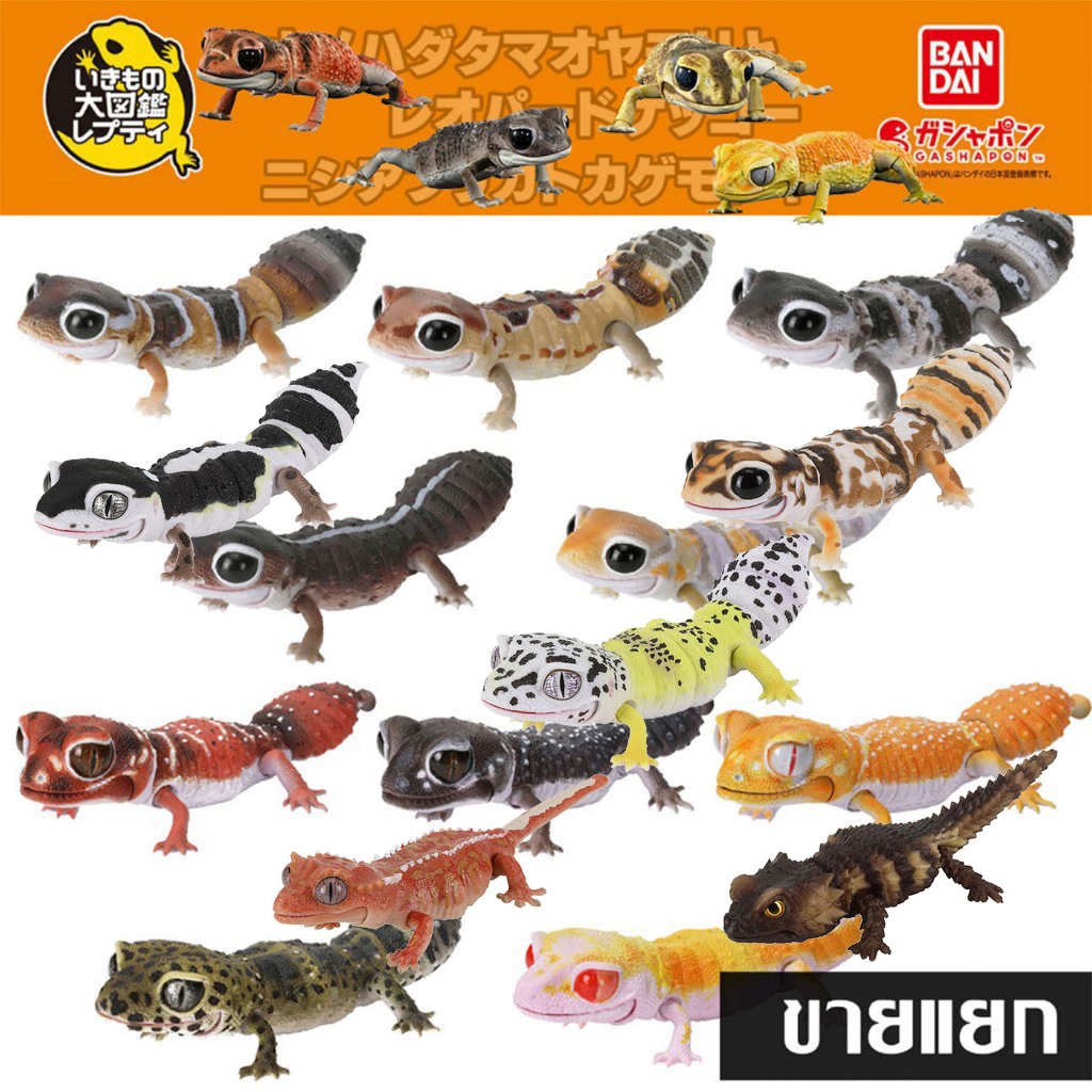 Bandai แยก Gashapon Ikimono Encyclopedia African Fat-Tailed Gecko SMOOTH KNOB-TAILED LEOPARD ตุ๊กแก กาชาปอง