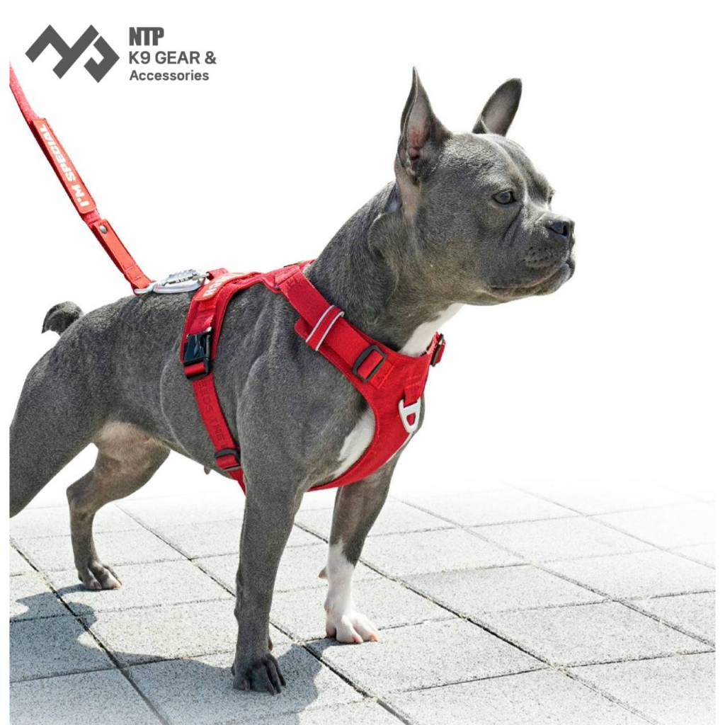 NTP สายรัดอกสุนัข Ligth Harness