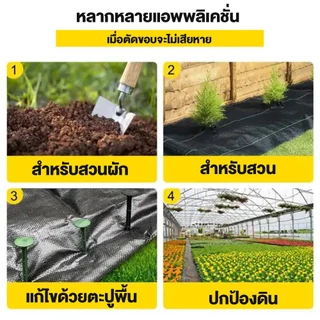 Daily Gold พลาสติคคลุมดิน พลาสติกคลุมหญ้า ผ้าคุมวัชพืช ผ้าปูกันหญ้า (ซึมผ่านได้) 1×5 1×10 1×50 1×100 ผ้ากันวัชพืช ผ้าคลุ