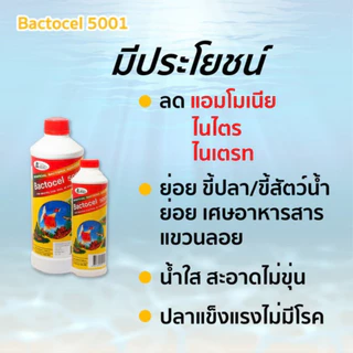 (ของแท้ 100%) Bactocel 5001 300cc จุลินทรีย์น้ำใส บ่อปลา ตู้ปลา แบลโตเซล ปรับสภาพน้ำใส บ่อขนาดใหญ่