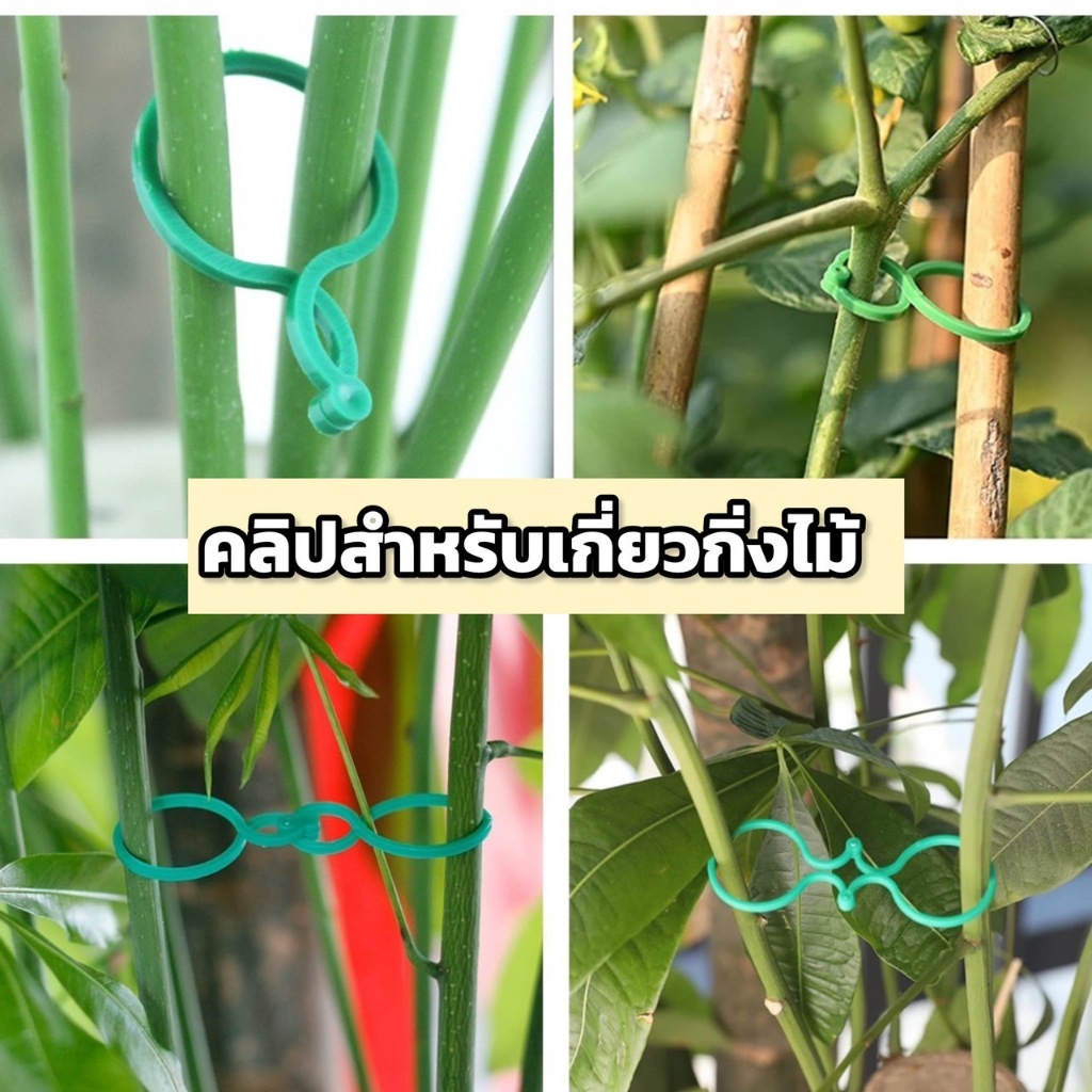 คลิปสำหรับเกี่ยวกิ่งไม้(100 ชิ้น/PAX) สายรัดต้นไม้กับซุ้ม อุปกรณ์เสริมทำสวน พร้อมส่งในไทย สำหรับปลูกต้นไม้ สำหรับงานสวน