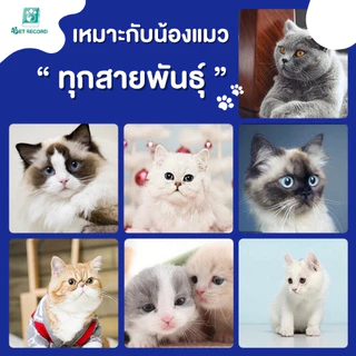 Pet Record ขนมแมวเลีย 16g อร่อยฟิน 5 รสชาติ เกรดพรีเมียม บำรุงขน ไม่เค็ม น้องแมวเลิฟเลย!