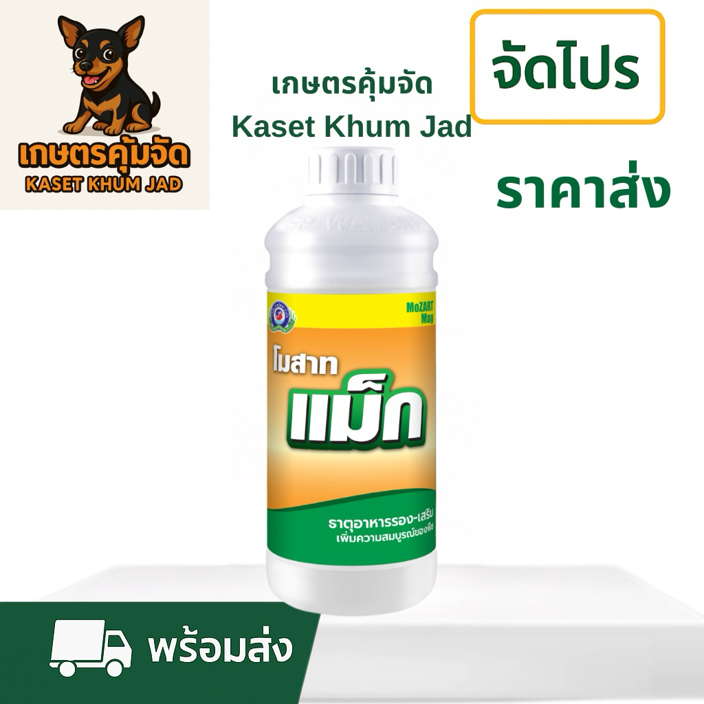 โมสาท แม็ก 1 ล.– ธาตุรองแมกนีเซียมเข้มข้น