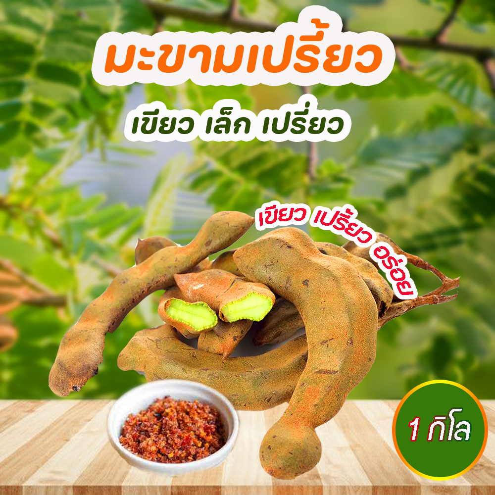 มะขาม มะขามพันธ์ุยักษ์ อ่อนๆ เปรี้ยวๆ เขียวทานกับน้ำพริกเกลือ อร่อยมากพร้อมส่ง