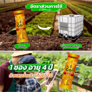 ผงดำเทพสถิตย์ ขนาด 15 กรัม ปุ๋ยทางใบ ใช้ได้ 100 ไร่ อาหารเสริมพืชฉีดทางใบ