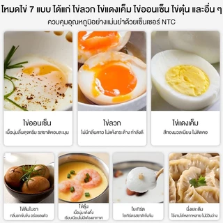 CAMEL เครื่องต้มไข่อัตโนมัติ เครื่องไข่ต้ม Mini egg boiler หม้อต้มไข่ เครื่องนึ่งไข่อเนกประสงค์