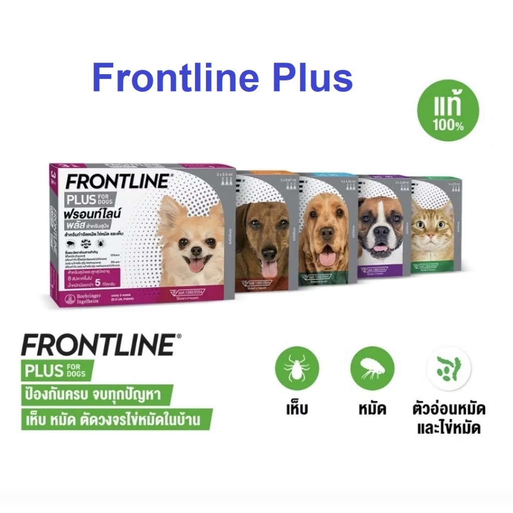 Frontline plus ชนิดหยด กำจัดเห็บหมัด สุนัข-แมว