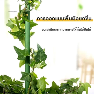ไม้ค้ำต้นไม้ DIY ยาว90-150ซม หนา11มม โครงปลูกผัก เสามะเขือเทศ เหล็กเคลือบพลาส ไม้ค้ำยันต้นไม้ ค้างต้นไม้