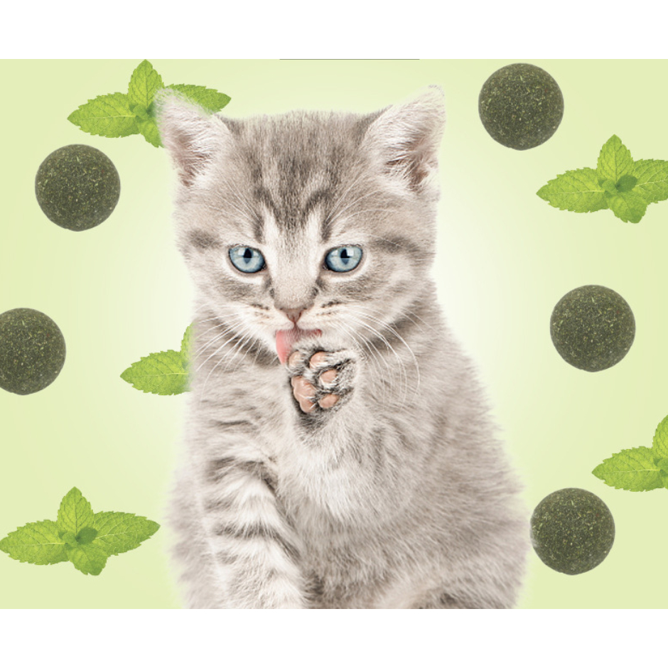 PP-020 แคทนิปบอล ขนมแมวทรงกลม Catnip Ball ของเล่นแมว เสริมความสุขให้เจ้าเหมียว