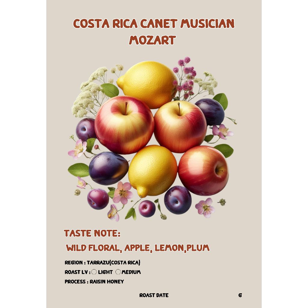 (คั่วอ่อน)เมล็ดกาแฟCosta Rica Canet Musician Mozart Raisin Honey