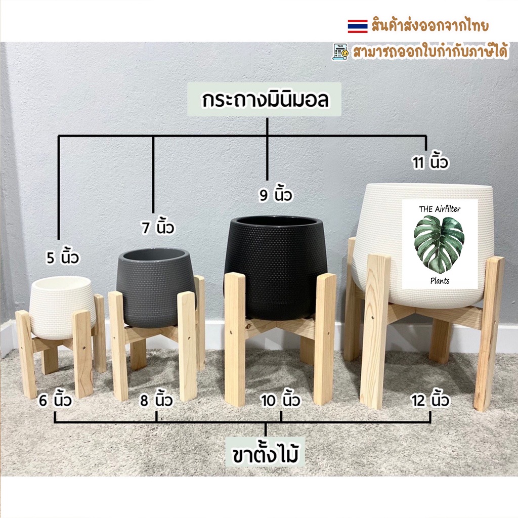 ชุดกระถางต้นไม้ 9 นิ้วพร้อมขาตั้งไม้ 10 นิ้ว🌿 มี6สีให้เลือก มีจานรองในตัวกระถางทรงโมเดิร์นหยดน้ำ มินิมอล กระถางเบลล่า