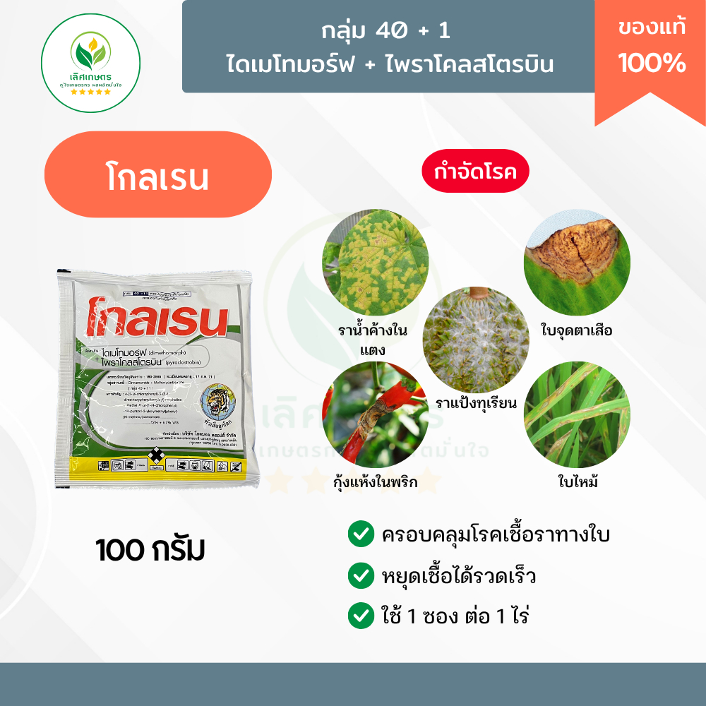 โกลเรน 100กรัม ไดเมโทมอร์ฟ+ไพราโคลสโตรบิน จบปัญหา! หยุดลามทันที! เชื้อราทางใบ ราน้ำค้าง ใบจุดตาเสือ แอนแทรกโนส ใบไหม้