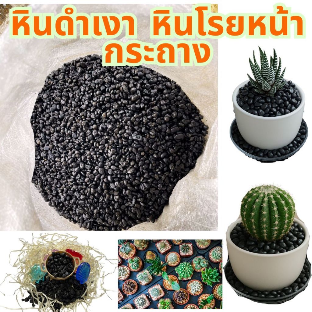 หินดำเงาขอบมน หินแคคตัส หินโรยหน้ากระถาง หินโรยหน้าดิน