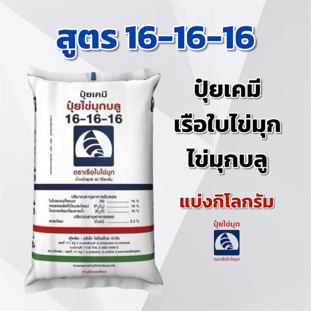 (แบ่ง 3,5,10 กิโลกรัม) ปุ๋ย 16-16-16 เรือใบไข่มุก แบ่งกิโลกรัม ตราเรือใบไข่มุก