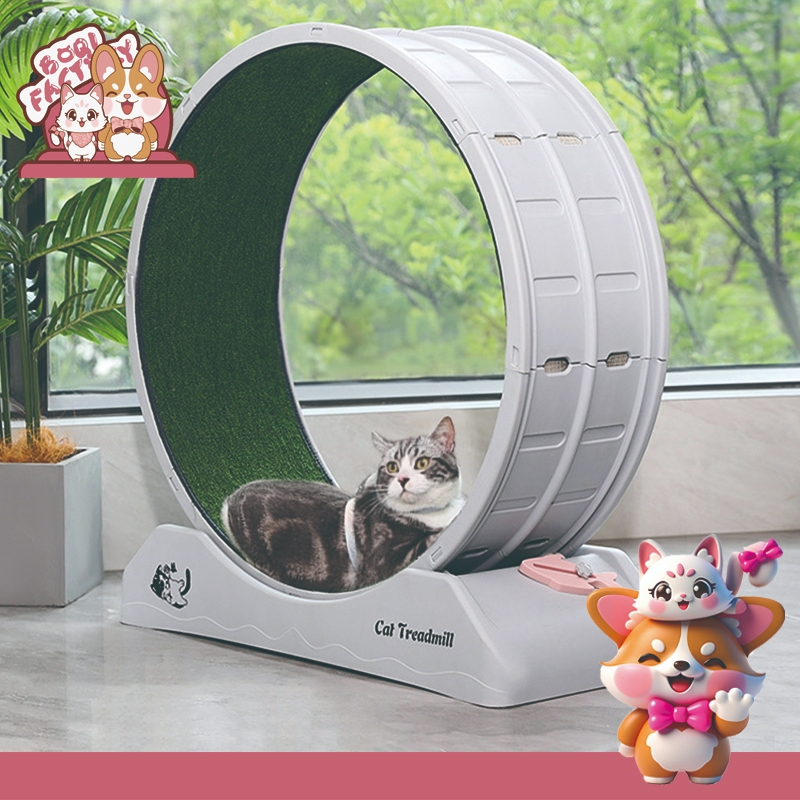 Boqi Factory ลู่วิ่งแมว ล้อวิ่งแมว โอเวอร์ไซส์ ของเล่นแมว ลู่วิ่งสัตว์เลี้ยง ของเล่นแมวอัตโนมัติ วงล้อแมว Running