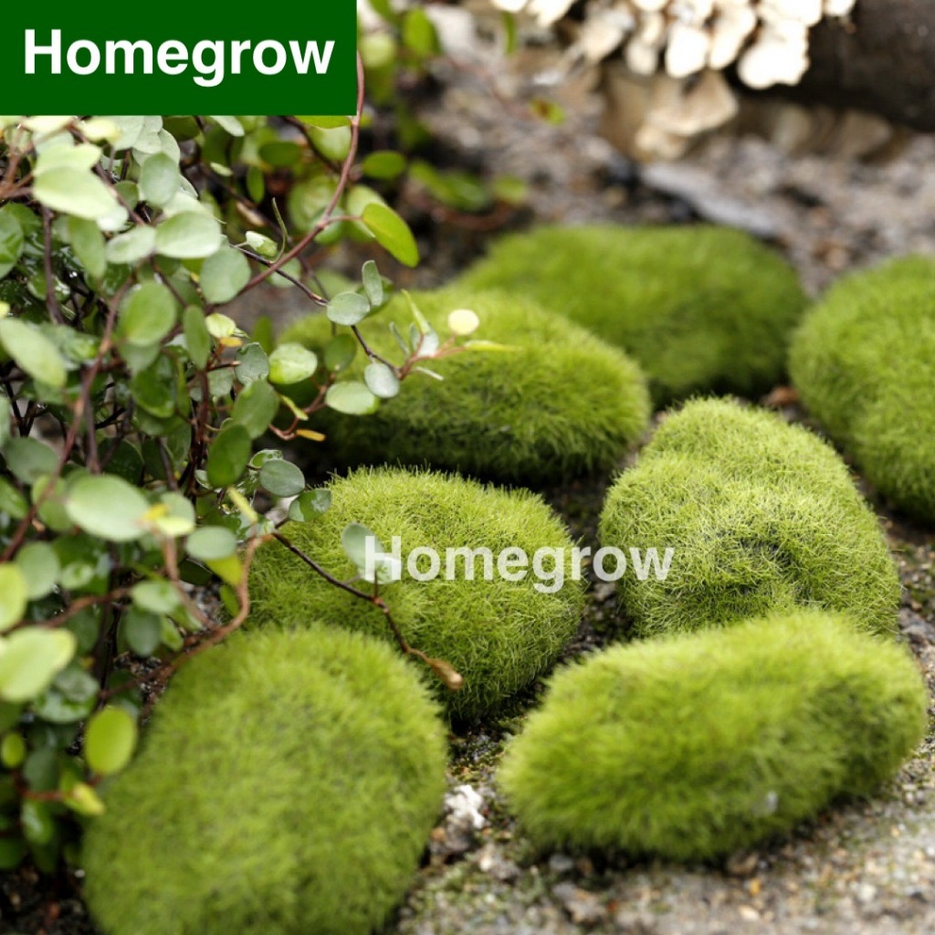 มอส มอสเทียม หญ้าปลอม หญ้าเทียม อุปกรณ์จัดสวนจิ๋ว สวนถาด ตู้ปลา - รูปที่ 2