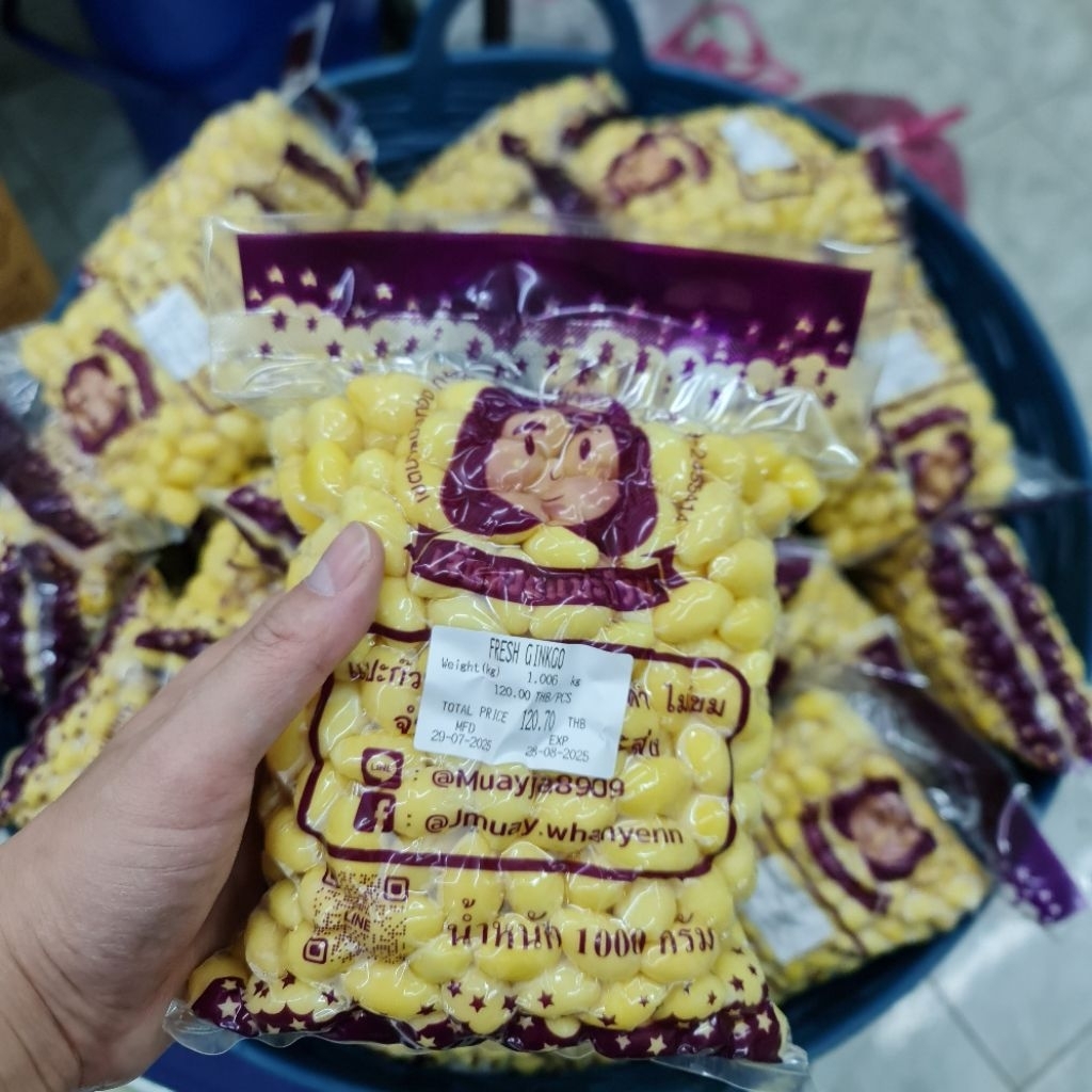 [ของแท้✅️100%] แปะก๊วยสด 1กิโล ราคาส่ง | เม็ดใหญ่ ไม่ดำ | ไม่ต้องแทงไส้ ไม่ขมแม้ไม่ออก | คัดเกรด บำรุงสมอง - 1