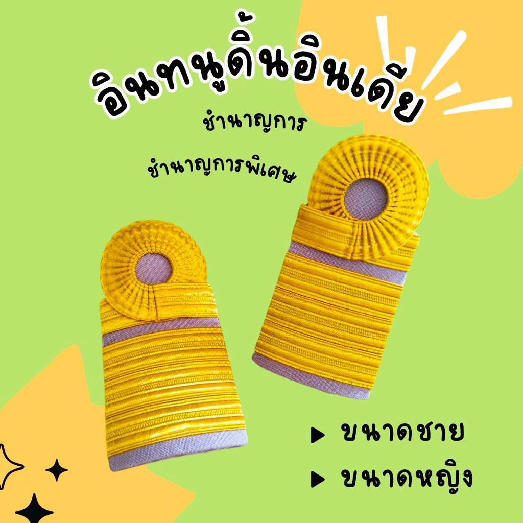 อินทนูคศ.1 ระดับชำนาญการ