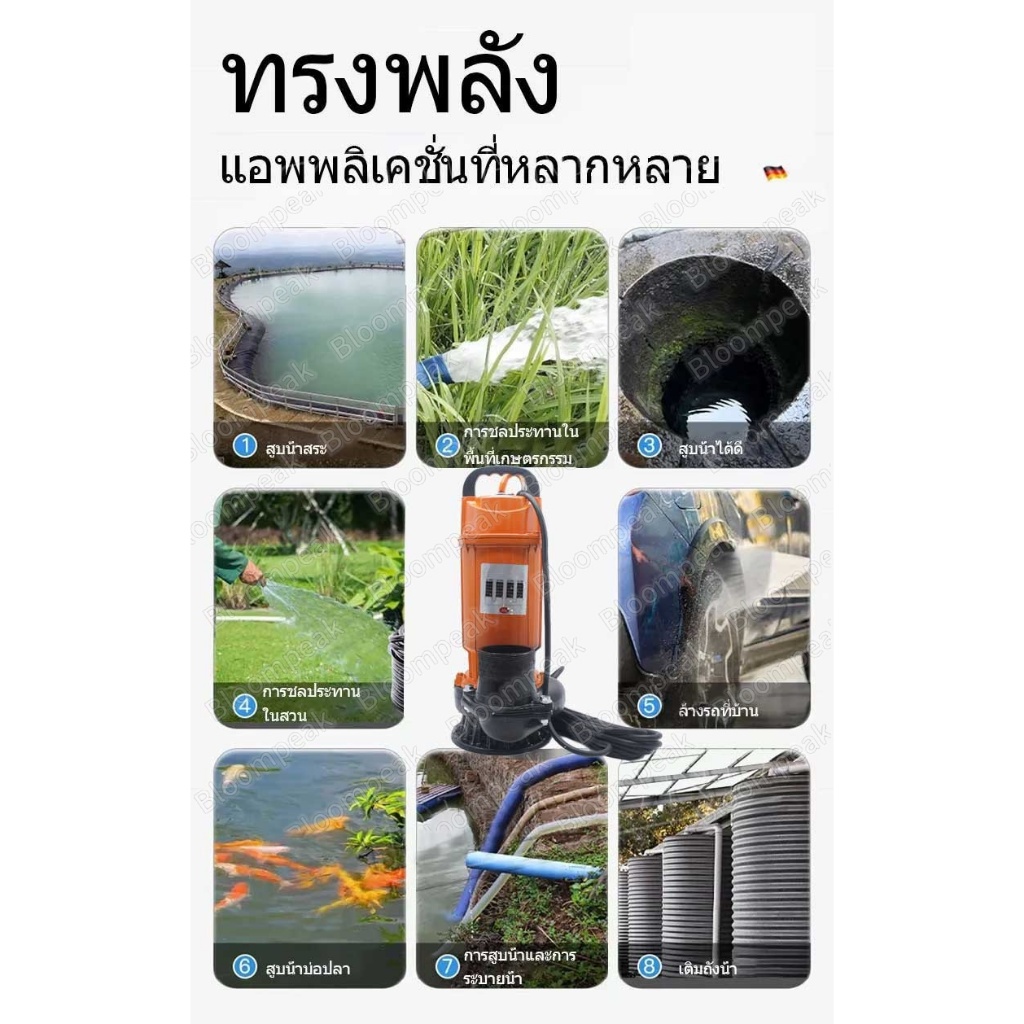 Thumbnail 9