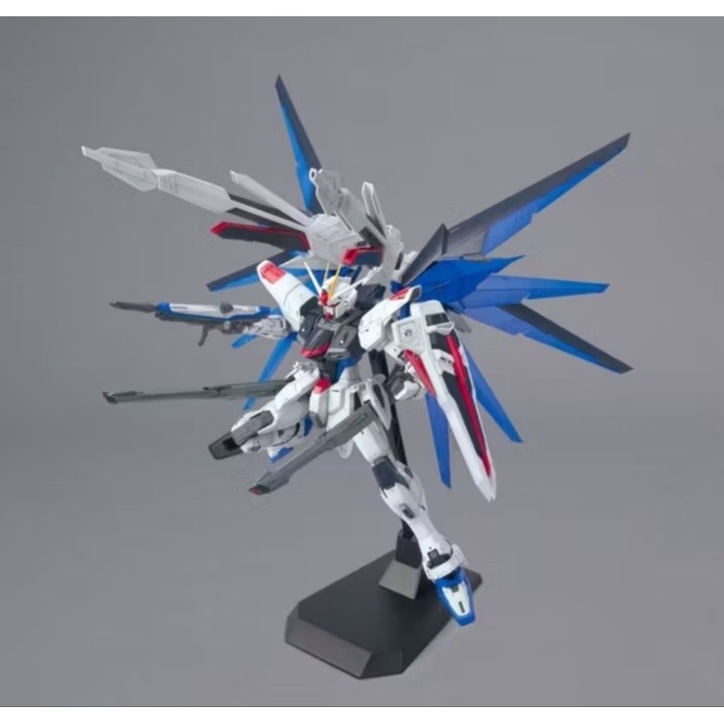 MG 1/100 Freedom Gundam Ver.2.0