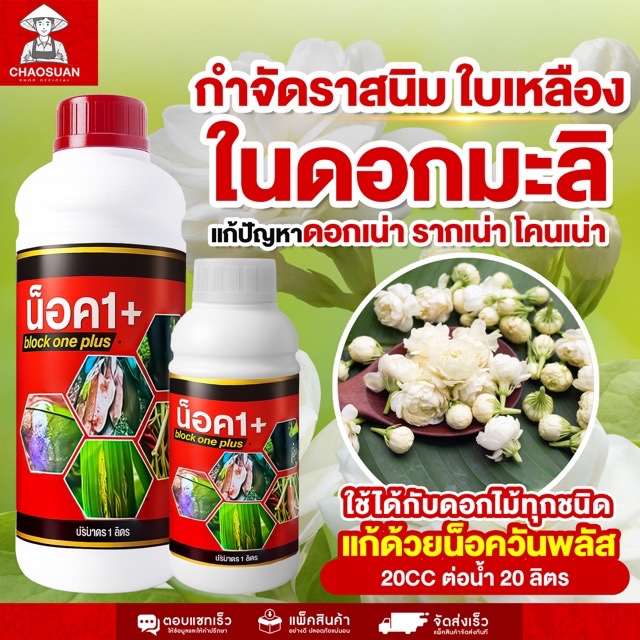 น็อควันพลัส กำจัดราสนิม ใบเหลือง ดอกมะลิเน่า! ใช้ได้กับดอกไม้ทุกชนิด แก้ปัญหา ดอกเน่า รากเน่า โคนเน่า