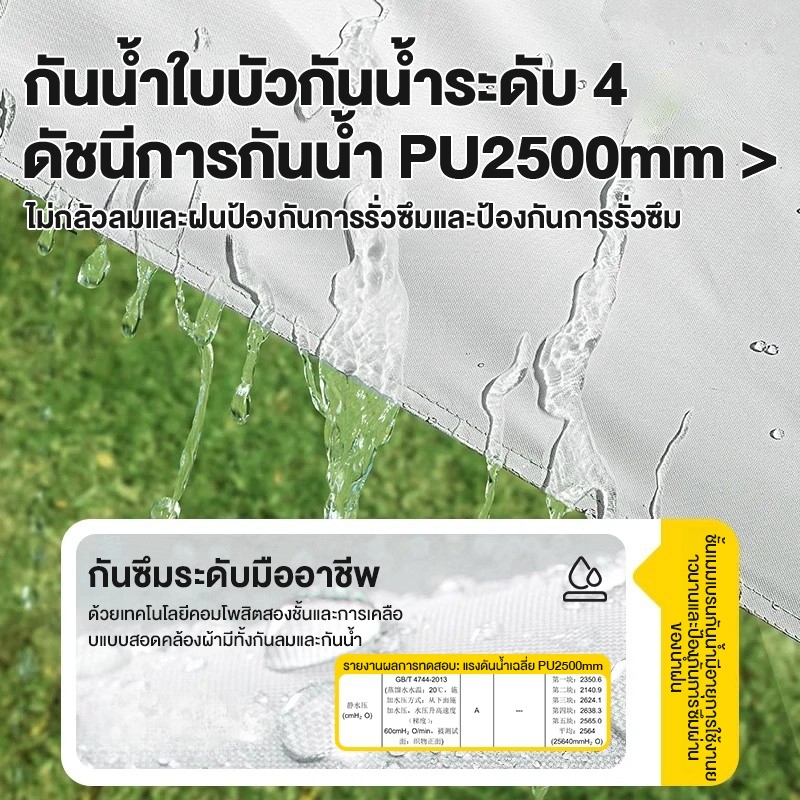 รูปภาพ 9