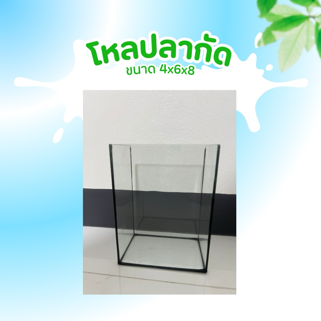โหลปลากัด ขนาด 4x6x8