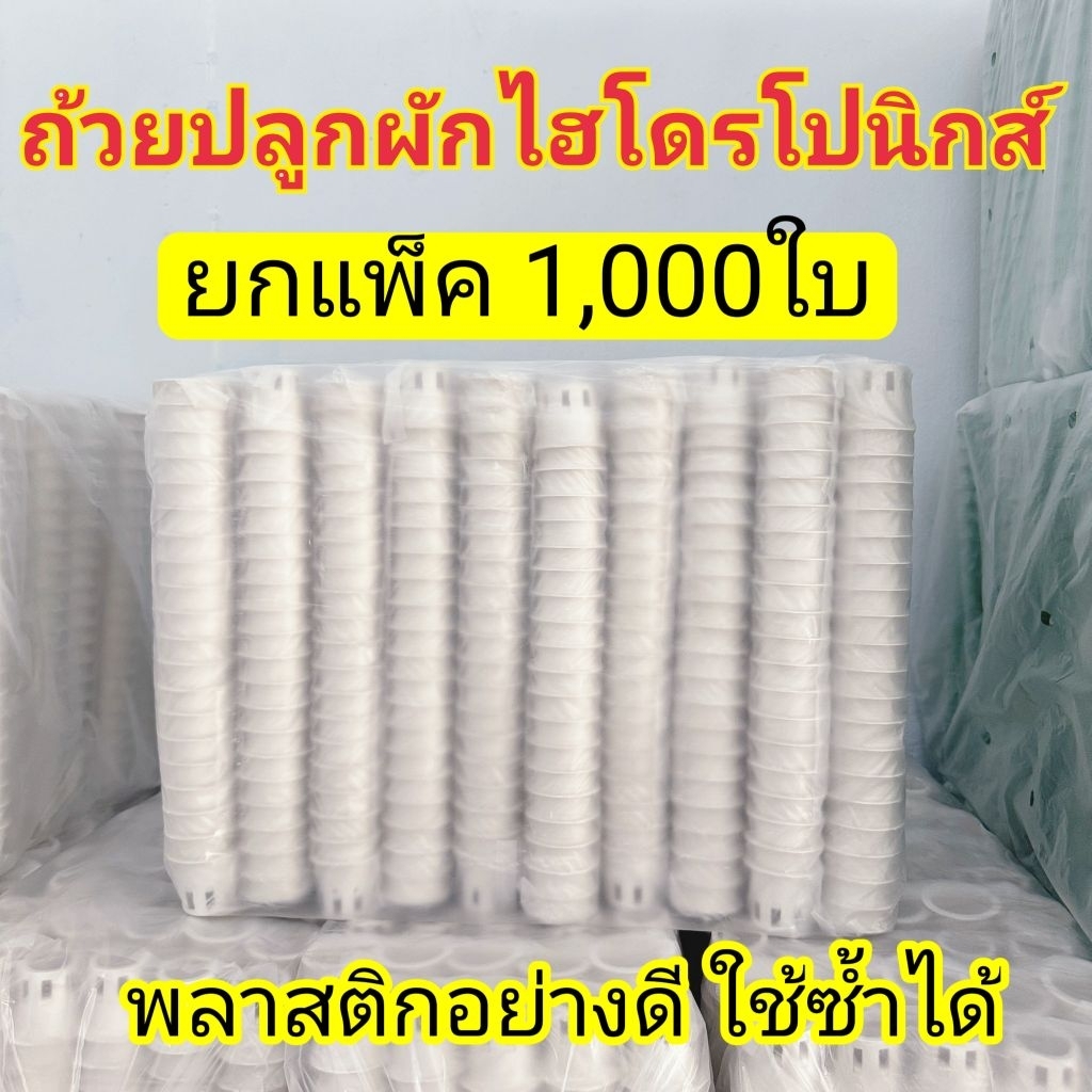 ถ้วยปลูกผักไฮโดรโปนิกส์ ถ้วยปลูกผักสีขาว เกรด Premium ใช้ซ้ำได้ แพ็คละ 1,000ใบ(ยกแพ็ค)