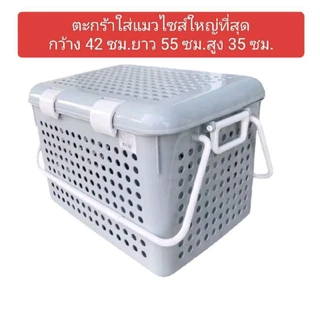 ตะกร้าใส่แมวไซส์ใหญ่ที่สุด XXL ขนาด 42x55x35 ซม (วัดภายนอกรวมฝาและด้ามจับ)พลาสติกหนาแข็งแรง