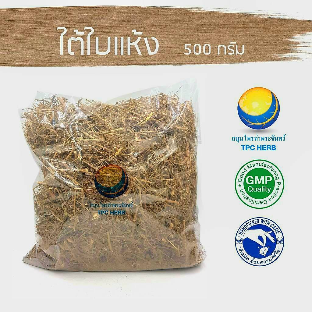 ใต้ใบแห้ง " คัดมือ ด้วยความใส่ใจ " ลูกใต้ใบ ใต้ใบ ใต้ใบอบแห้ง ชาลูกใต้ใบ ชาใต้ใบ หญ้าใต้ใบ