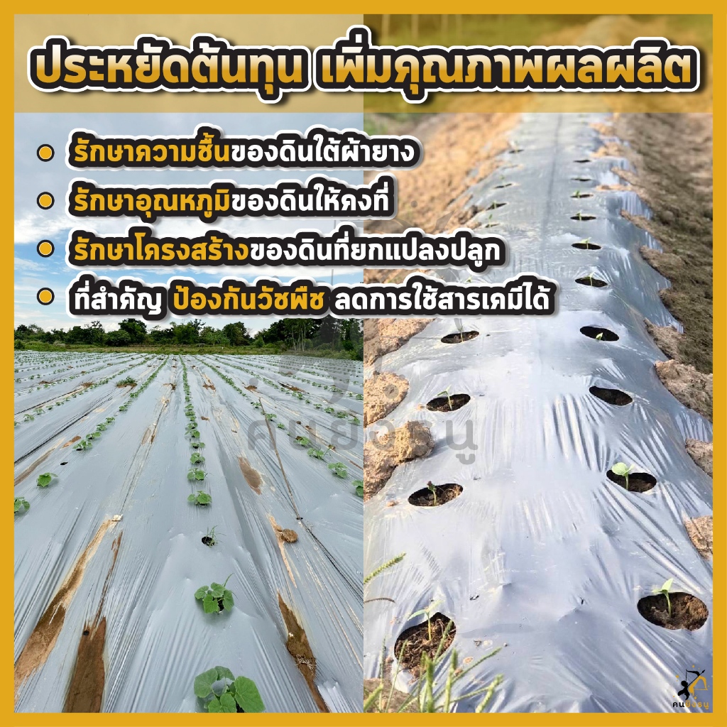 พลาสติกคลุมดิน 0.8ม.x400หลา(360ม) เจาะรูคู่ 2แถว ผ้ายางคลุมดิน ผ้ายางคลุมวัชพืช ผ้ายางคลุมแปลงผัก - รูปที่ 6