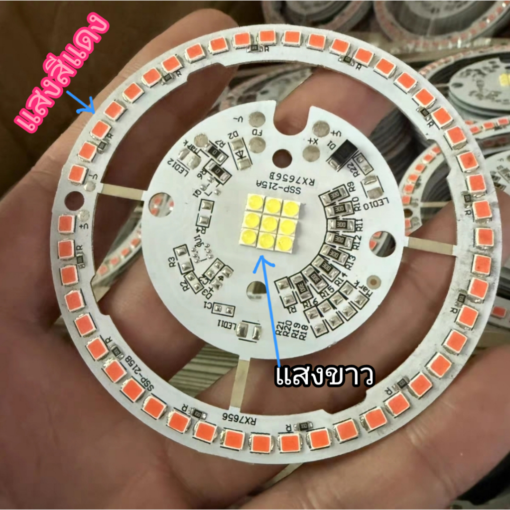 ไฟ LED 12V 6W แสงวงนอกสีแดงแสงวงในสีขาว สำหรับงาน DIY เช่นไฟโซล่าเซล