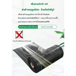 พลาสติกคลุมดิน ผ้าคลุมหญ้า พลาสติกคลุมวัชพืช กำจัดวัชพืช ผ้าคลุมวัชพืช พลาสติกเกรดส่งออก ผสมUV ฆ่าหญ้า ทำเฉพาะคุณภาพ