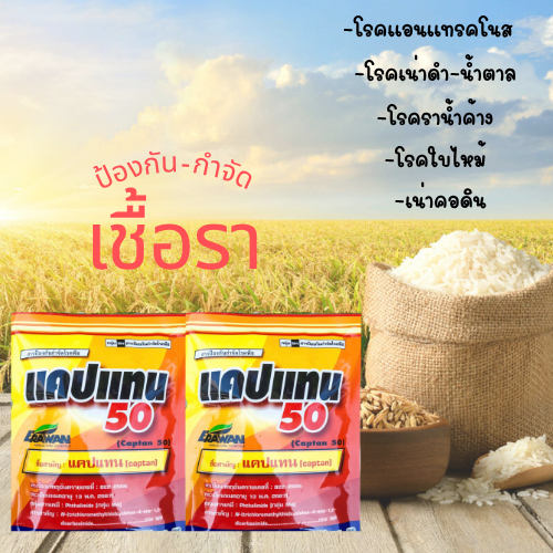 แคปแทน50 สารป้องกันเชื้อรา ขนาด 100 กรัม