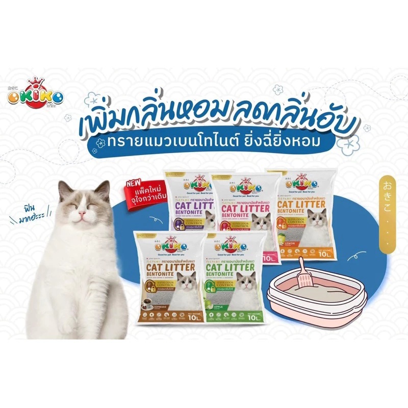 รูปภาพ 2