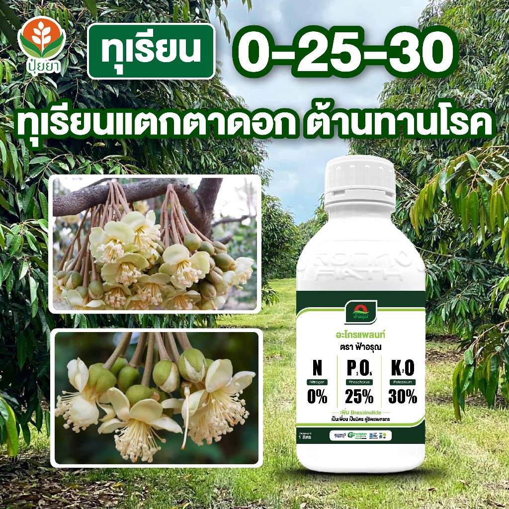สูตรหนักฟอสฟอรัส-โพแทสเซียม สำหรับไม้ผลปลายฤดู เร่งความหวาน ขั้วเหนียว ลูกไม่ร่วง เก็บได้นาน 0-25-30 ดอกดก ลูกใหญ่ รสดี
