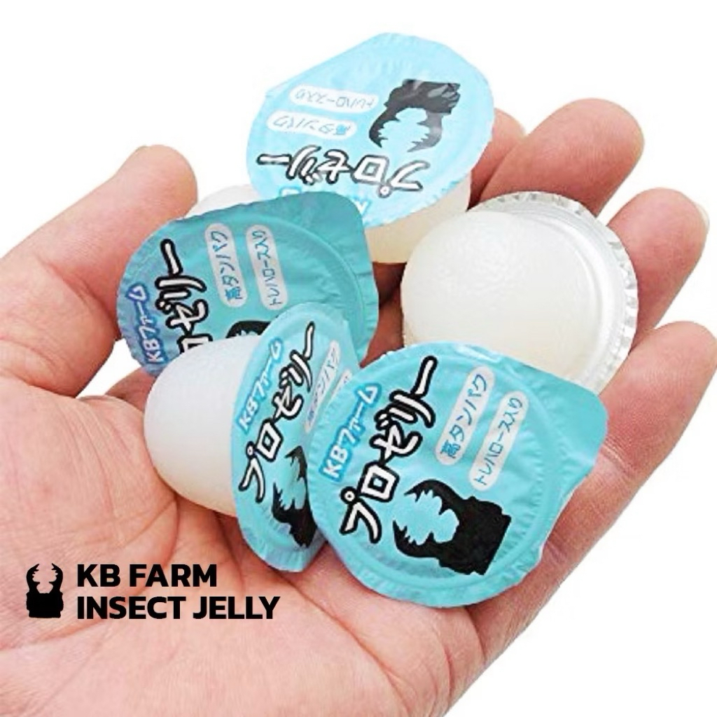 [ถุงใหญ่] เยลลี่โปรตีนสำหรับด้วงและแมลงต่างๆ (Ultra high protein jelly for beetle and insects) อาหาร