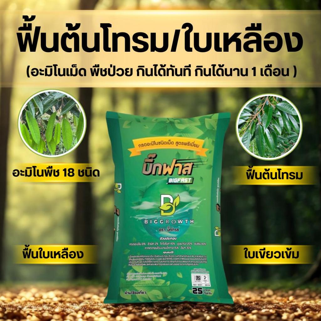 บิ๊กฟาส (BigFast) | อะมิโนพืชชนิดเม็ด | สูตรพรีเมี่ยม | เร่งฟื้นต้น-แตกยอดเร็ว