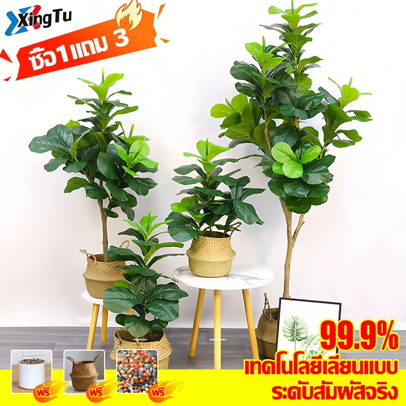 🔥จัดส่งฟรีทั่วประเทศ🔥ต้นไม้ปลอม ต้นไม้ปลอมใหญ่ 100cm/33ใบ ฟรีกระถางดอก +หินตกแต่ง ต้นไม้แต่งบ้าน+การตกแต่งร้าน
