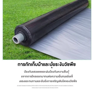พลาสติกคลุมดินสีดำเงิน กว้าง 80CMยาว 360 เมตร เจาะรู 30 40 50 cm 400 หลา
