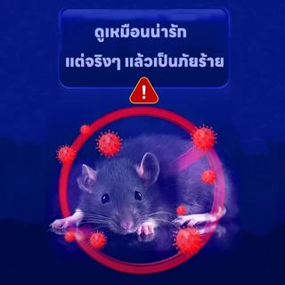 🐭แค่วาง หนูก็หายไป🏠 เจลไล่หนู ไล่หนู กำจัดหนู ยาไล่หนู 150g ใช้งานง่าย ไล่หนูตลอด 24 ชั่วโมง ผลิตจากธรรมชาติ ปลอดภัย
