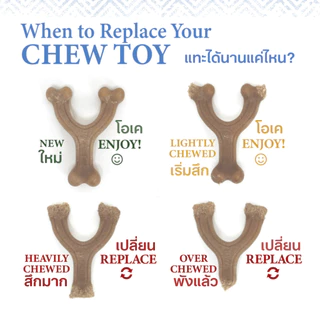 Made in USA🇺🇸 Nylabone Strong Chew Gourmet Style Femur Puppy Chew Bacon Flavor ของเล่นขัดฟันลูกสุนัข