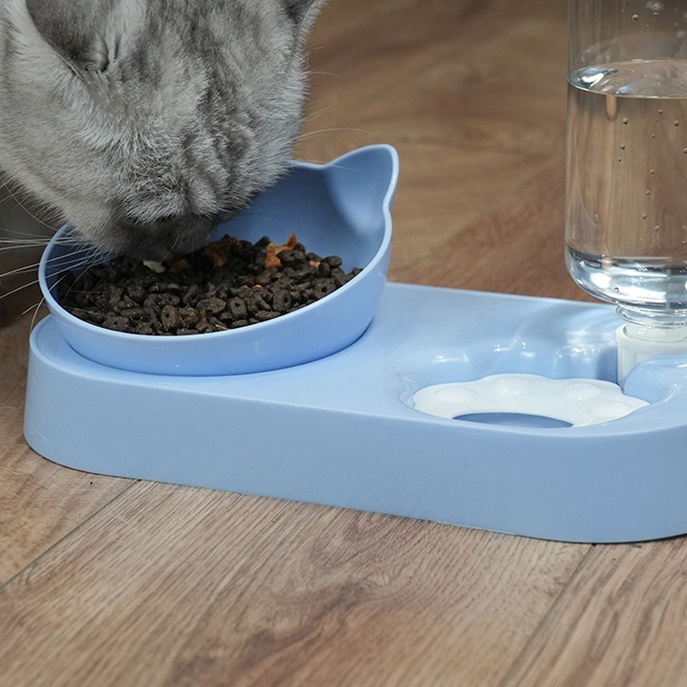 ชามอาหารแมว ชามอาหารหมา ที่ให้อาหารสัตว์เลี้ยง วัสดุที่ปลอดภัย ขวดน้ำ500มล ชามกว้าง 13cm ชามปรับองศา