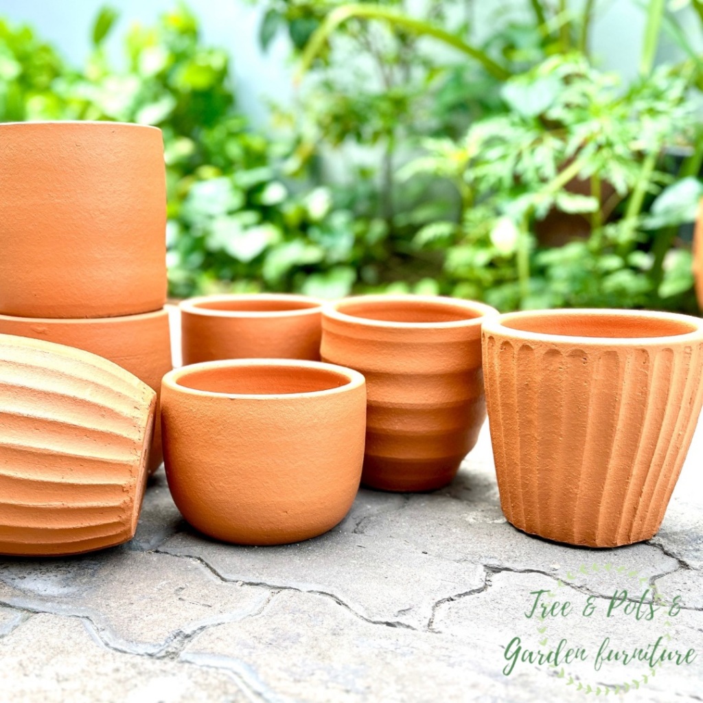กระถางดินเผา กระถางต้นไม้ ขนาด 6 นิ้ว เคลือบกันเชื้อรา แข็งแรงทนทาน เหมาะกับการปลูกต้นไม้ทุกชนิด - รูปที่ 3