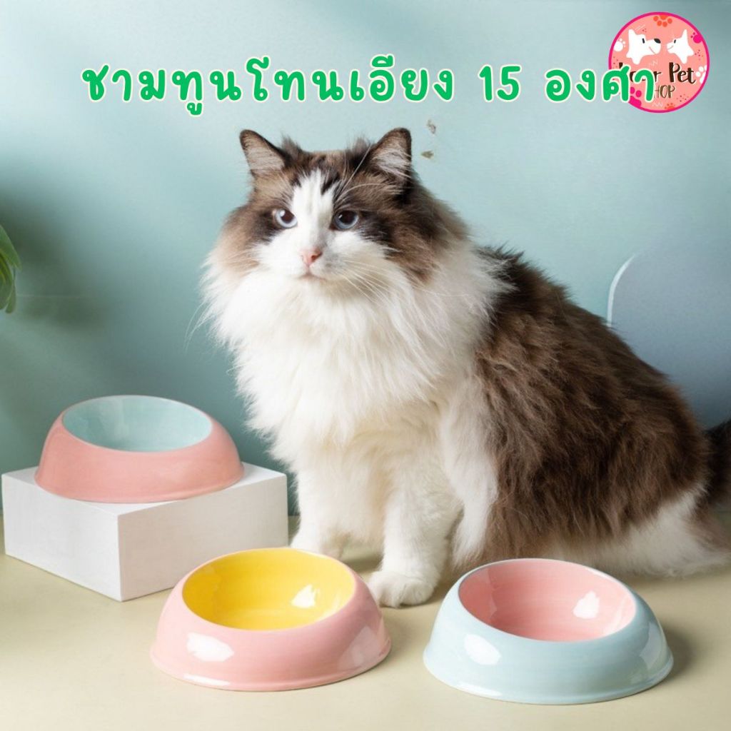 ชามเซรามิคทูโทนรุ่นใหม่ เอียง 15องศา เซรามิก จานแมว หมา จานอาหาร ขนม Bowl