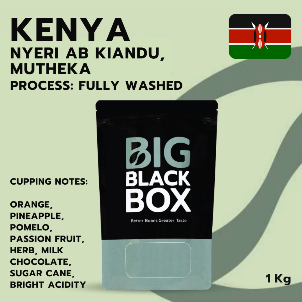 (1G-AF-KE-S-002) สารกาแฟ Kenya Nyeri AB Kiandu, Mutheka Fully Washed  1kg