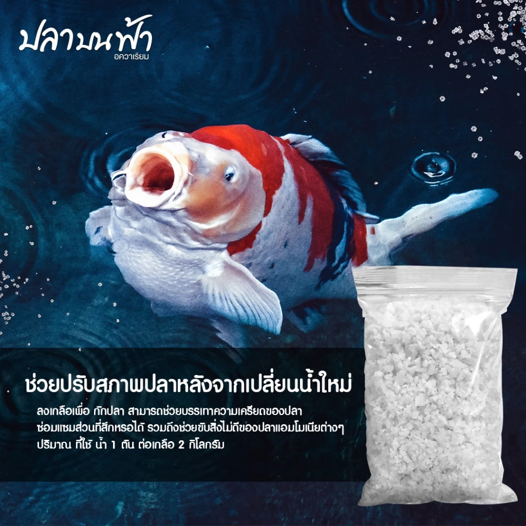 เกลือทะเล เกรดสะอาดใส่ตู้ปลา เกลือใส่บ่อปลา เกลือสมุทร เกลือใส่ปลา บรรจุถุงซิบล็อคใช้งานง่าย thumbnail 4