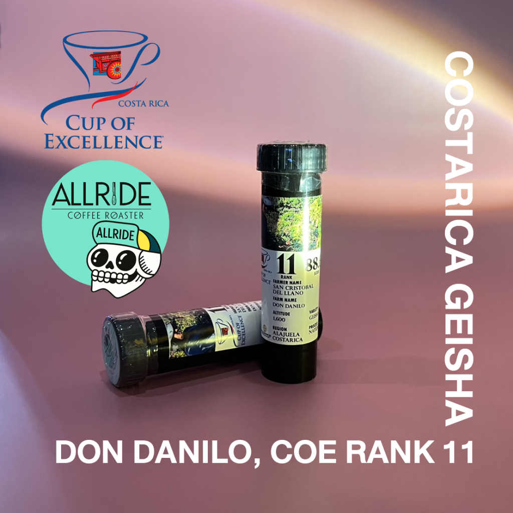 เมล็ดกาแฟคั่ว Costarica Geisha Don Danilo คอสตาริก้า เกอิชา ขนาด15กรัม | ALLRIDE - coffee roaster